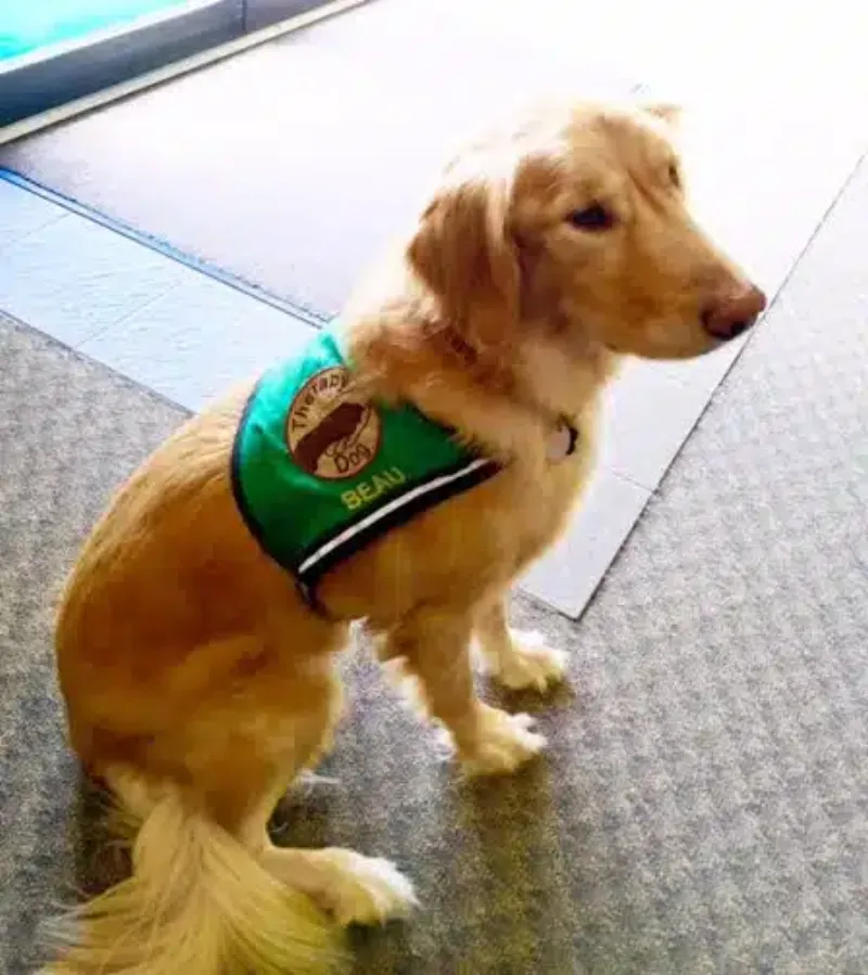 Athens Area Commencement Center facility in Athens, Georgia