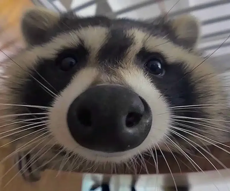 Behavior Services Center facility in Skokie, Illinois