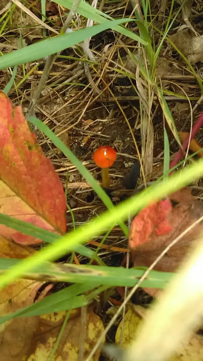 BHG Brainerd Treatment Center facility in Brainerd, Minnesota