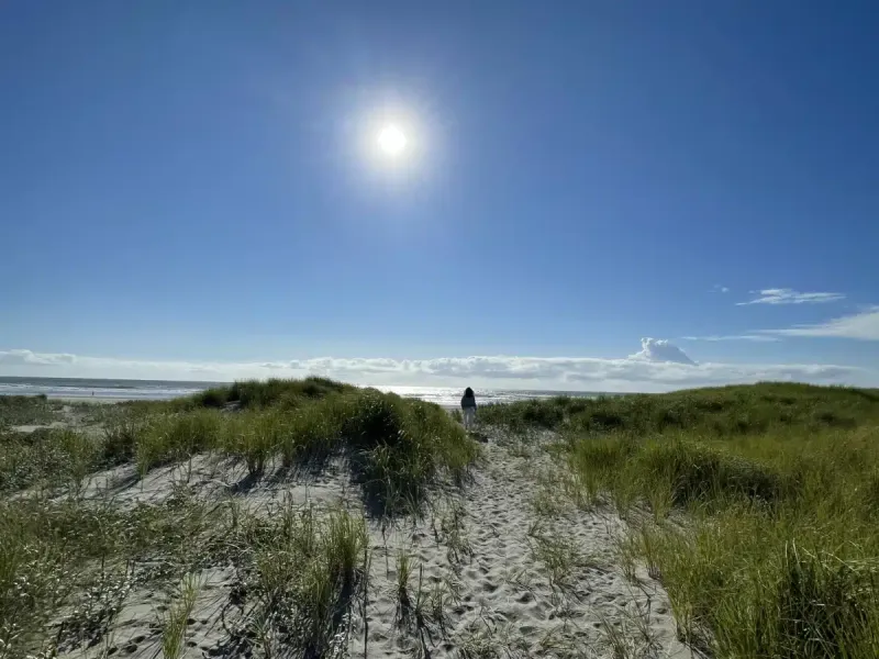 Free by the Sea facility in Ocean Park, Washington