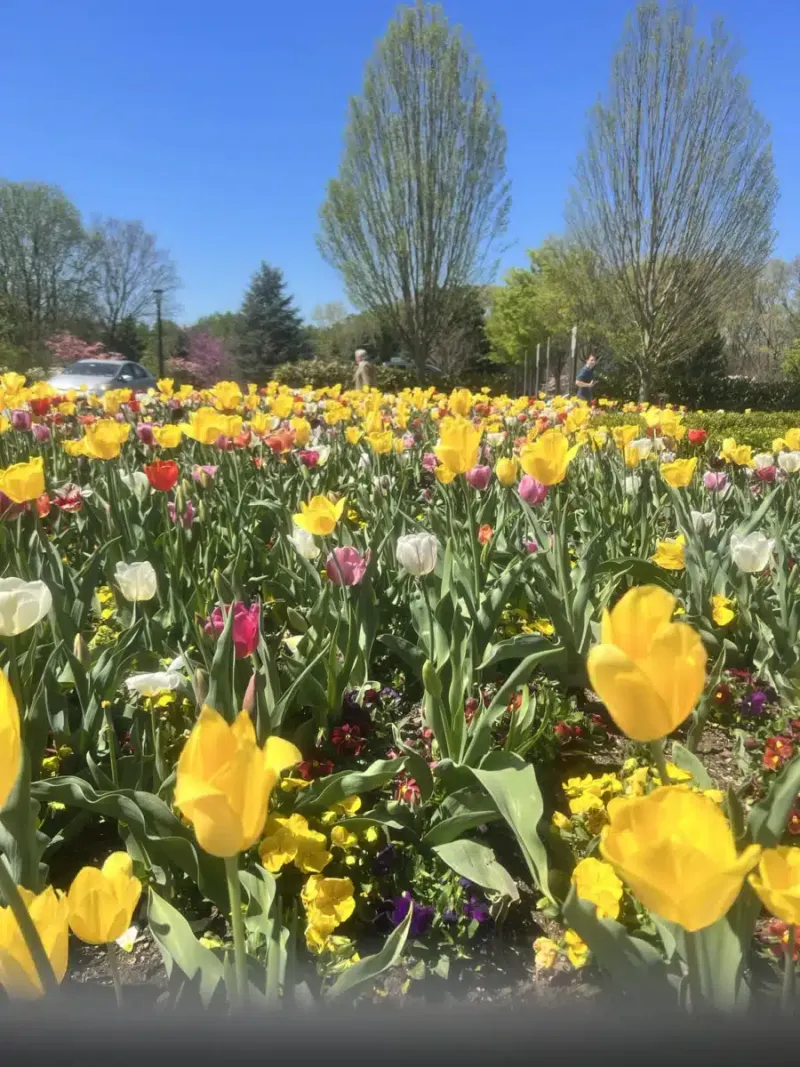 Hope Rising Residential facility in New Harmony, Utah