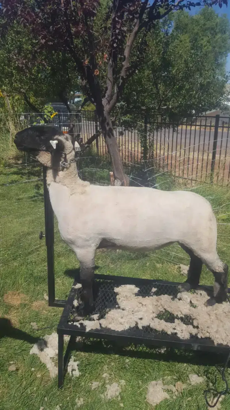 Independence Place facility in Hines, Oregon