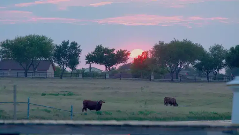 New Hope Ranch facility in Manor, Texas