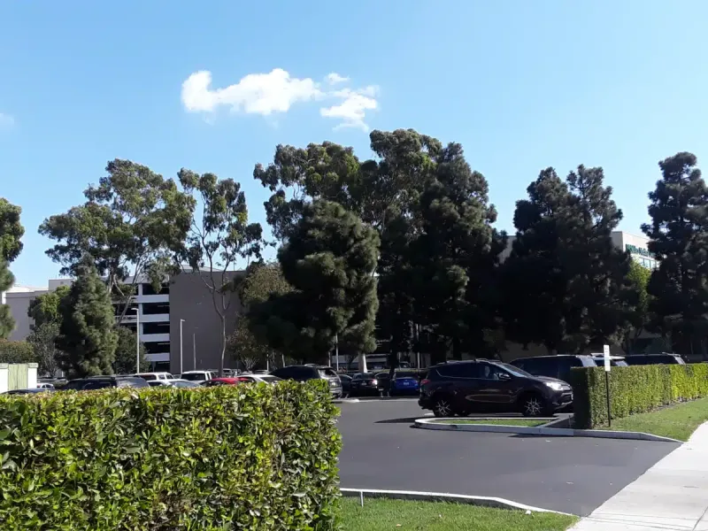 Thelma McMillen Recovery Center facility in Torrance, California