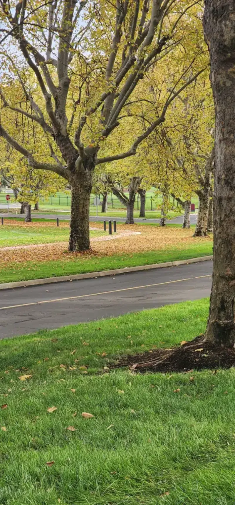 VA Roseburg Healthcare System facility in Roseburg, Oregon