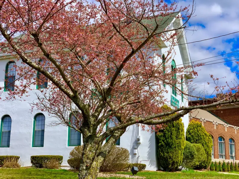 Wayne Counseling and Family Services facility in Wayne, New Jersey