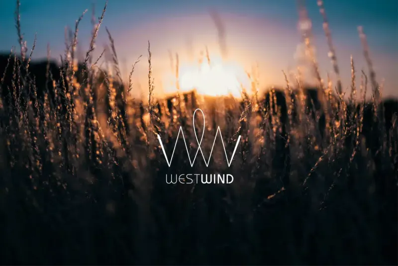 Westwind Recovery facility in Los Angeles, California